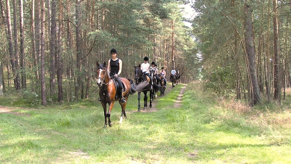 Reiterwochenende in der Lüneburger Heide